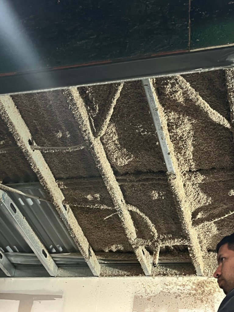 Celulosa proyectada - (2)